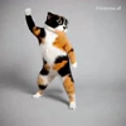 🤩 Эмодзи «Куки» для Telegram