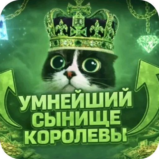 🐱 Стикер «Куки под дозой» для Telegram