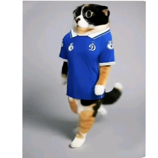 🧸 Стикер «Куки под дозой» для Telegram