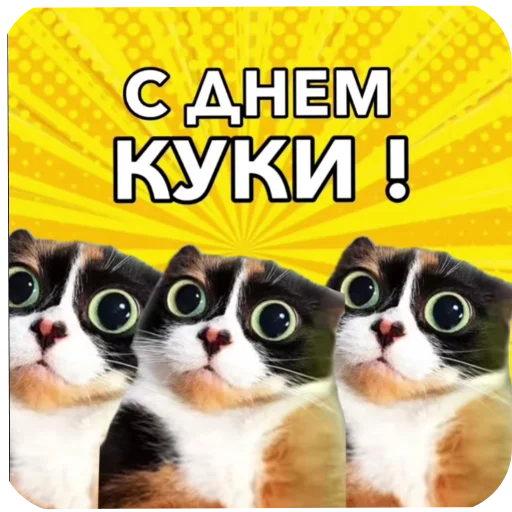 🐱 Стикер «Куки под дозой» для Telegram
