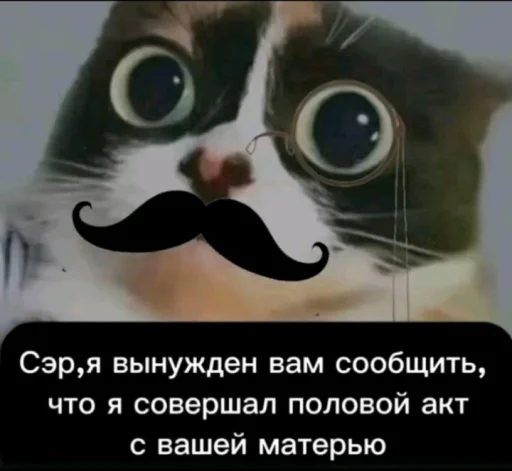 🤩 Стикер «Куки под дозой» для Telegram