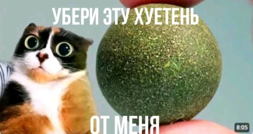 🤩 Стикер «Куки под дозой» для Telegram
