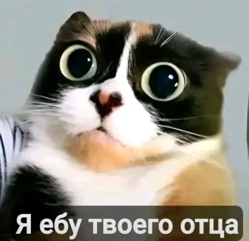 🤩 Стикер «Куки под дозой» для Telegram