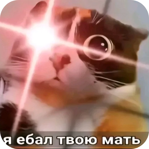 👍 Стикер «Куки под дозой» для Telegram