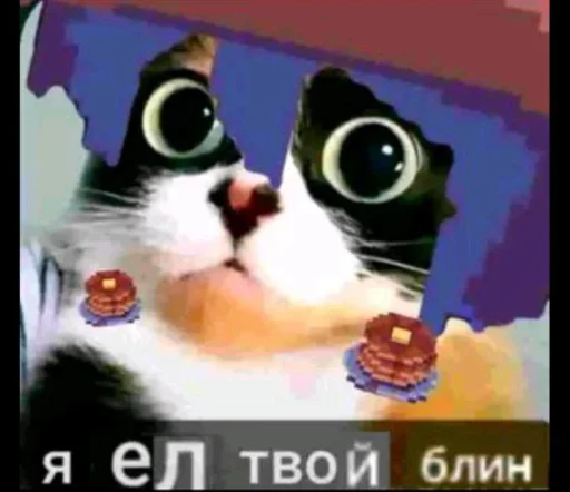 🤩 Стикер «Куки под дозой» для Telegram