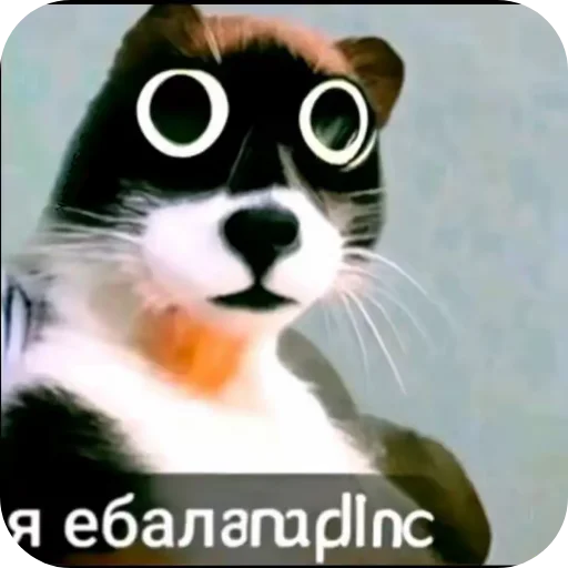 🖼 Стикер «Куки под дозой» для Telegram
