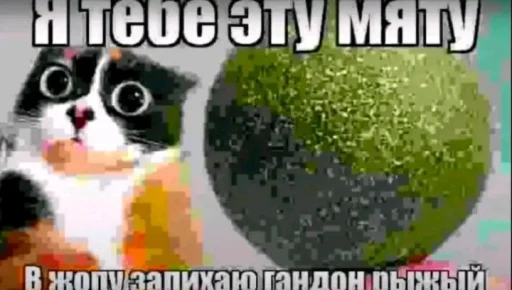 🤩 Стикер «Куки под дозой» для Telegram