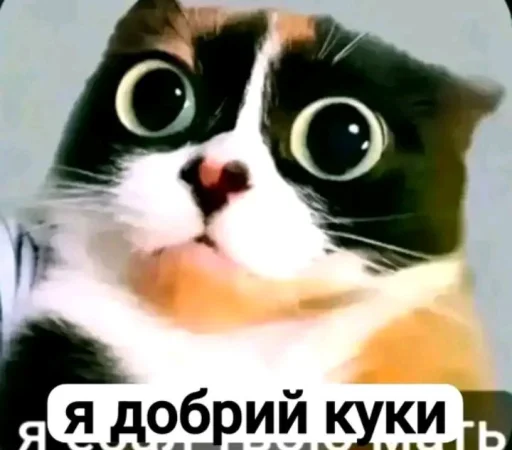 🤩 Стикер «Куки под дозой» для Telegram