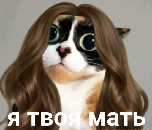 🤩 Стикер «Куки что это блять?» для Telegram