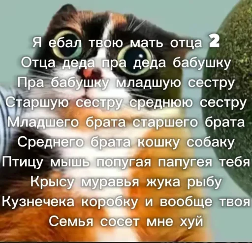 🤩 Стикер «Куки что это блять?» для Telegram