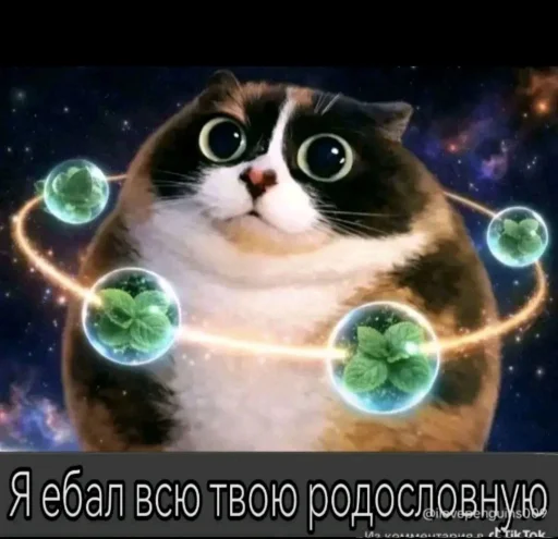 🤩 Стикер «Куки что это блять?» для Telegram