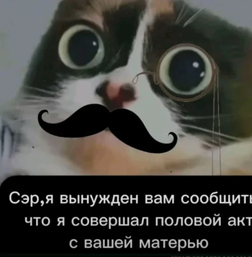 🤩 Стикер «Куки что это блять?» для Telegram