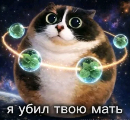 🤩 Стикер «Куки что это блять?» для Telegram