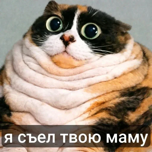 🤩 Стикер «Куки что это блять?» для Telegram