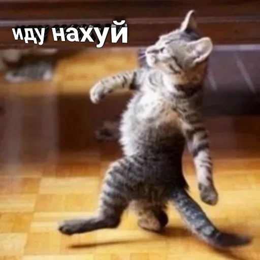 🖕 Стикер «KulBlaaa» для Telegram