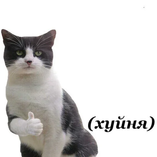 👍 Стикер «KulBlaaa» для Telegram