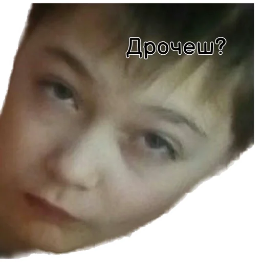 👀 Стикер «Культ ЕгОрАССтА» для Telegram