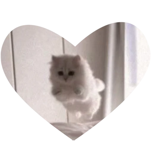 😺 Стикер «Культура работы» для Telegram