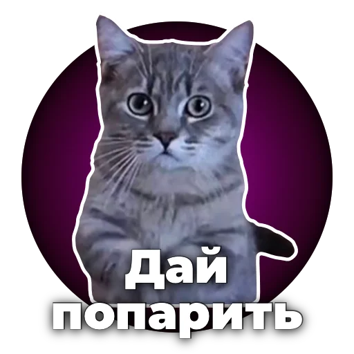 😥 Стикер «Хороший кумар» для Telegram