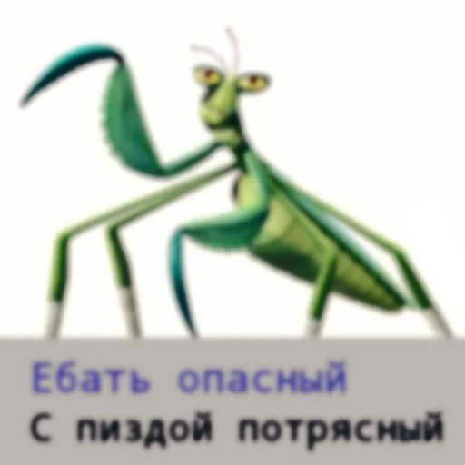 😡 Стикер «kung-fu» для Telegram