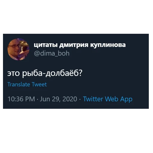 🤔 Стикер «kuplinov_quotes» для Telegram