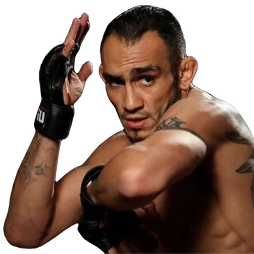 👊 Стикер «MMA» для Telegram