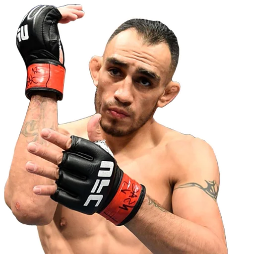 👊 Стикер «MMA» для Telegram