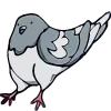🕊 Эмодзи «курлык уруру» для Telegram