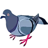 🕊 Эмодзи «курлык уруру» для Telegram
