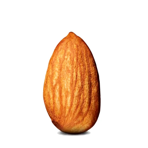 🌰 Стикер «Курочечки» для Telegram