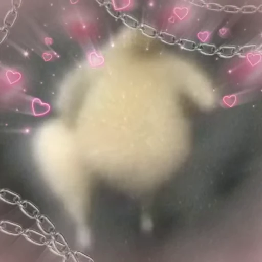 💕 Стикер «Курочечки» для Telegram