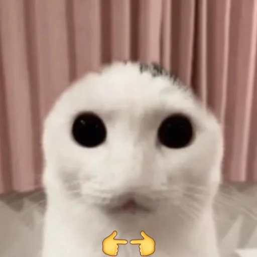 ☃️ Стикер «kuropotik» для Telegram
