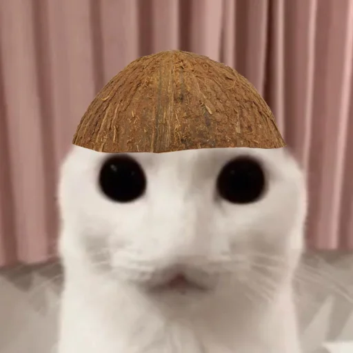 ☃️ Стикер «kuropotik» для Telegram