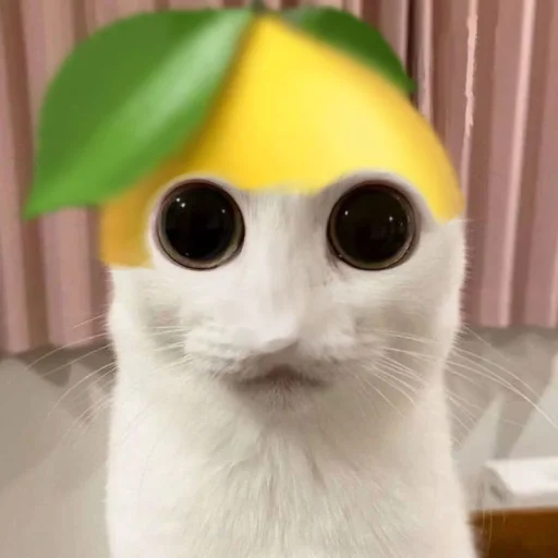 ☃️ Стикер «kuropotik» для Telegram