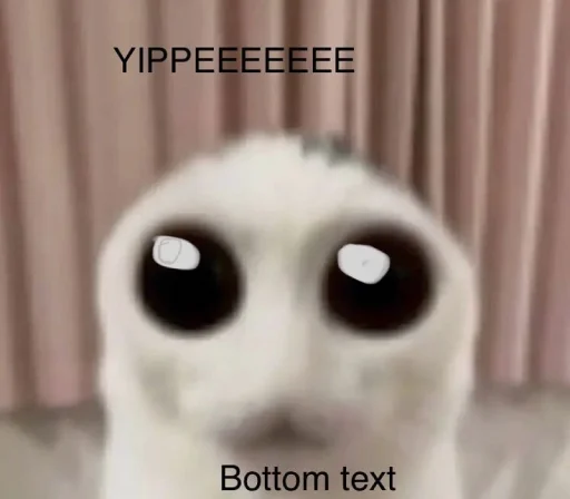 ☃️ Стикер «kuropotik» для Telegram