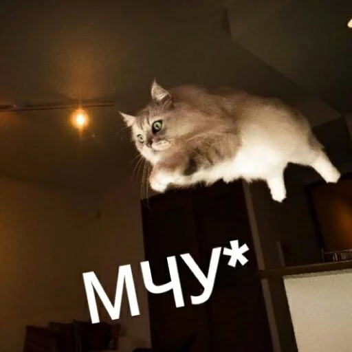 😋 Стикер «КотикЦмок2» для Telegram