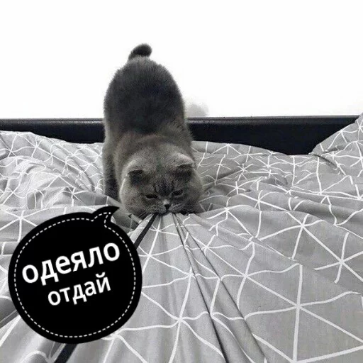 😤 Стикер «КотикЦмок2» для Telegram