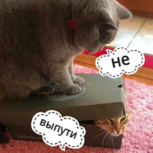 😏 Стикер «КотикЦмок2» для Telegram
