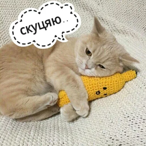 😞 Стикер «КотикЦмок2» для Telegram
