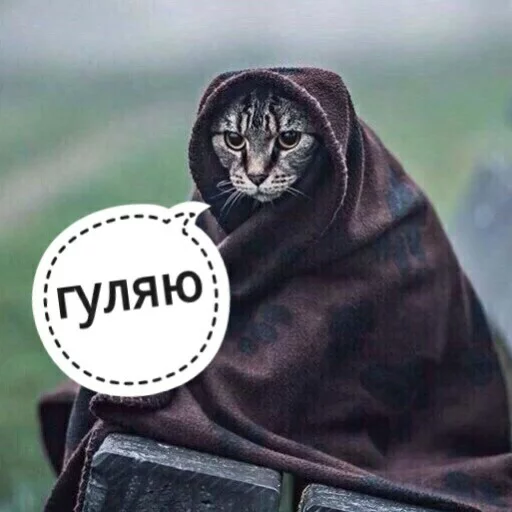 😁 Стикер «КотикЦмок2» для Telegram