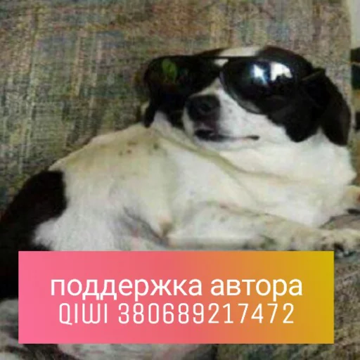 🦅 Стикер «КотикЦмок2» для Telegram