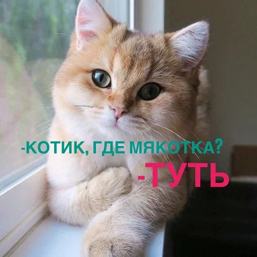 😙 Стикер «Кусь part 2» для Telegram