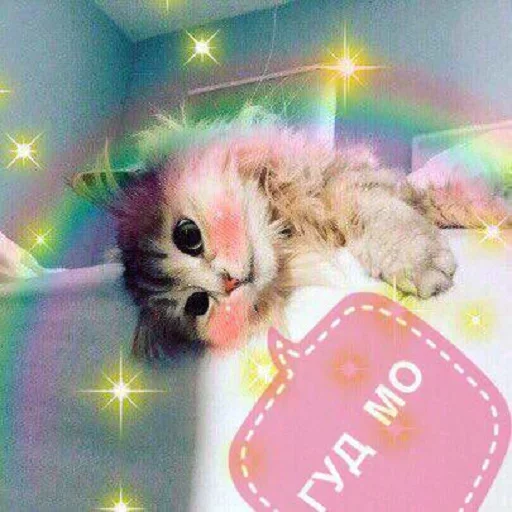 Стикерпак Кусь part 2 для Telegram