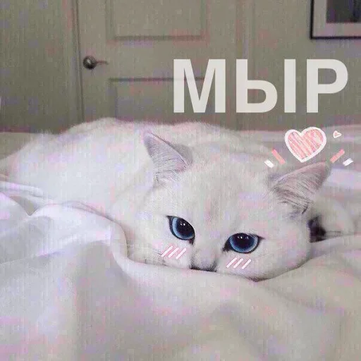 😚 Стикер «Кусь part 2» для Telegram