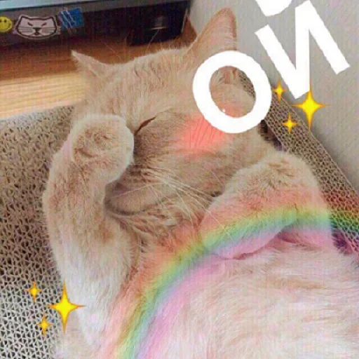 🤪 Стикер «Кусь part 2» для Telegram
