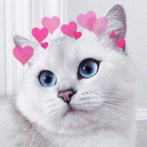 😙 Стикер «Кусь part 2» для Telegram