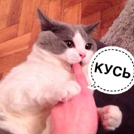 😙 Стикер «Кусь part 2» для Telegram