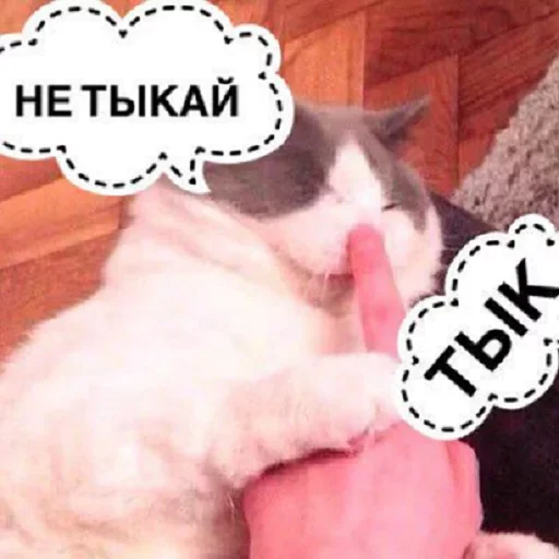 😗 Стикер «Кусь part 2» для Telegram