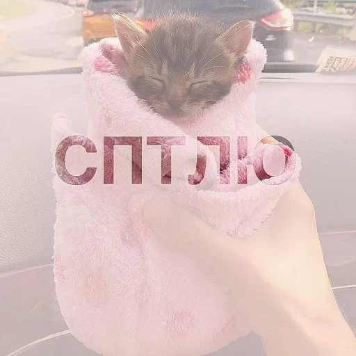 😋 Стикер «Кусь part 2» для Telegram