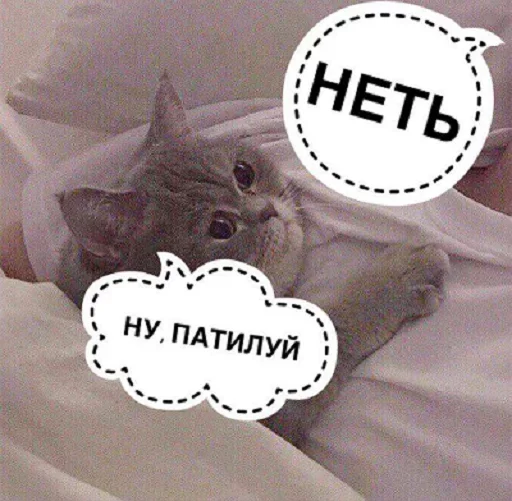 🤨 Стикер «Кусь part 2» для Telegram